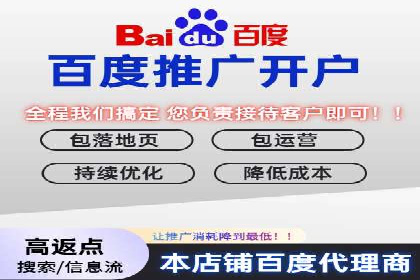 专业SEM运营托管服务案例分析